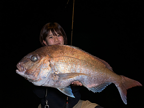 タイの釣果