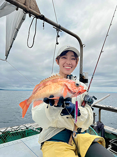 オキメバルの釣果