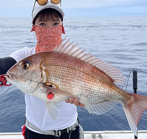 タイの釣果