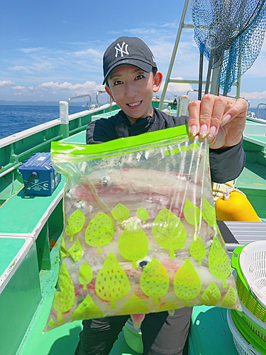 マルイカの釣果