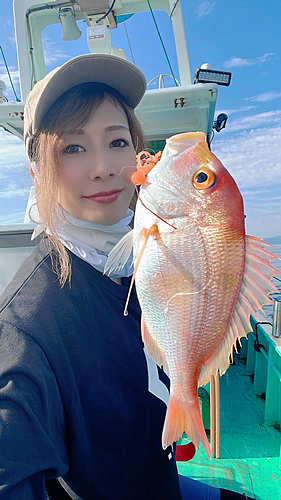 レンコダイの釣果