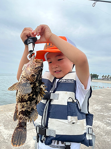 タケノコメバルの釣果