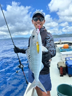 アオチビキの釣果