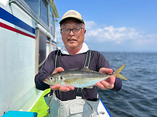 マアジの釣果