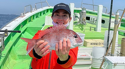 マダイの釣果