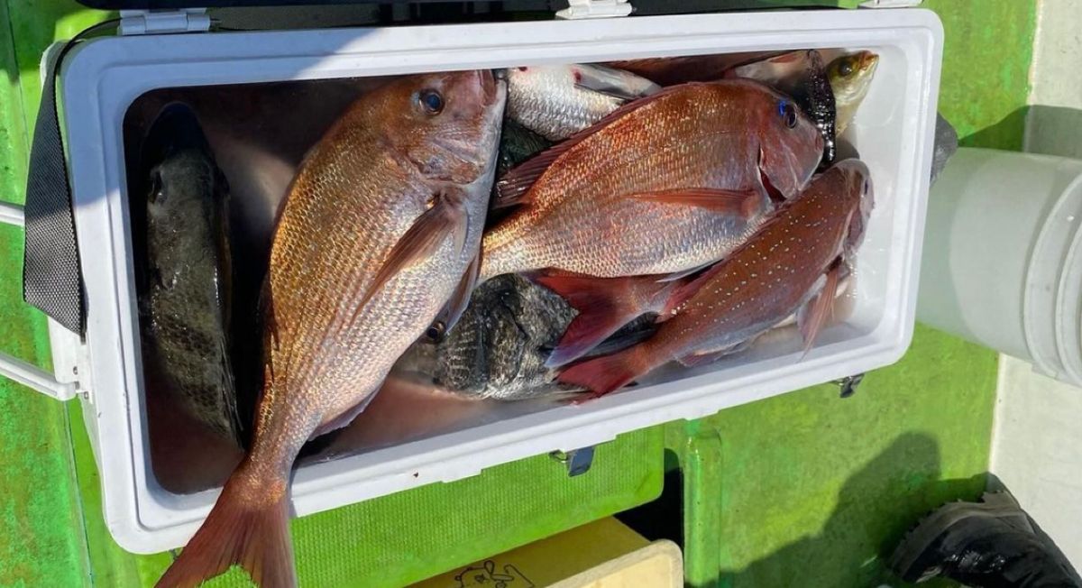 ROKOさんの釣果 2枚目の画像