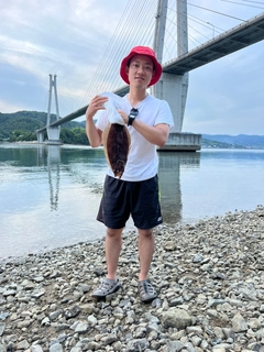 ヒラメの釣果
