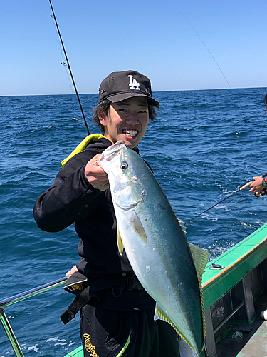 ヤズの釣果