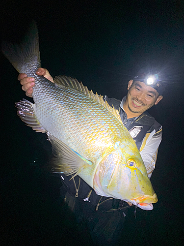 ハマフエフキの釣果