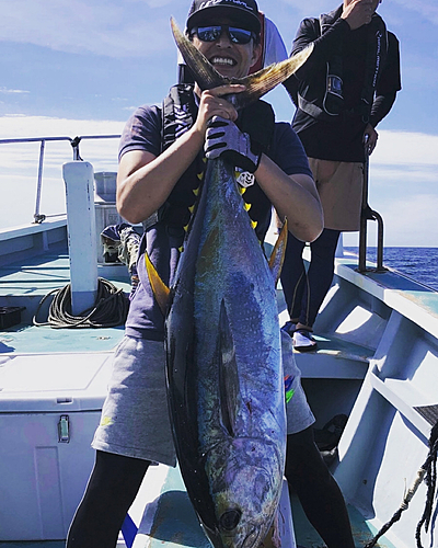 キハダマグロの釣果