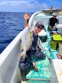 サザナミダイの釣果