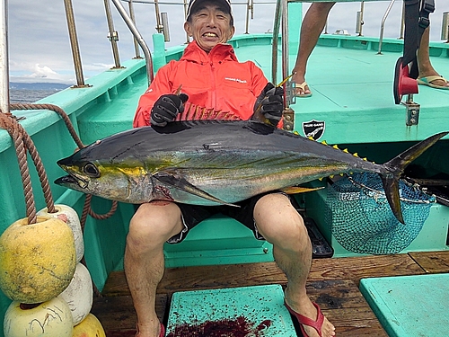 キハダマグロの釣果