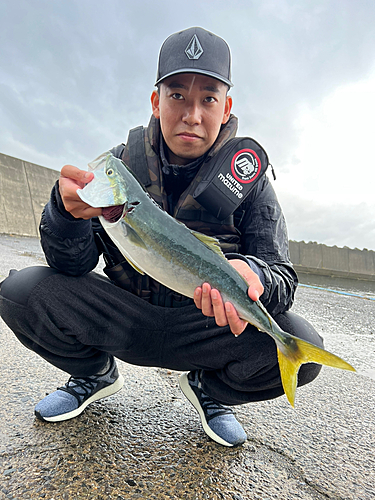 ワラサの釣果