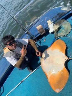 ツバクロエイの釣果