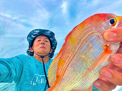 レンコダイの釣果