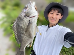 キビレの釣果