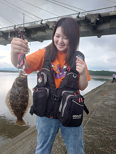 ヒラメの釣果