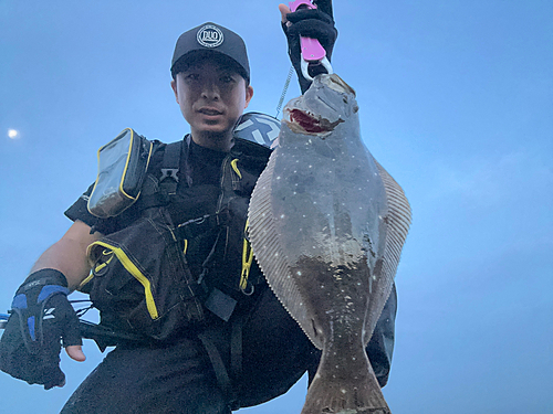 ヒラメの釣果