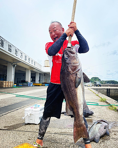 イシナギの釣果