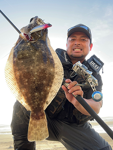 ヒラメの釣果