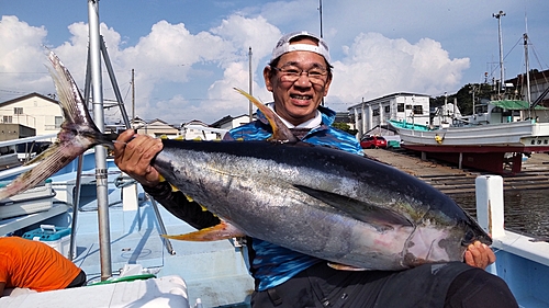 キハダマグロの釣果