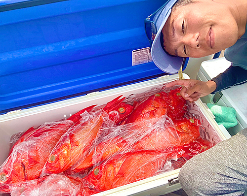 キンメダイの釣果