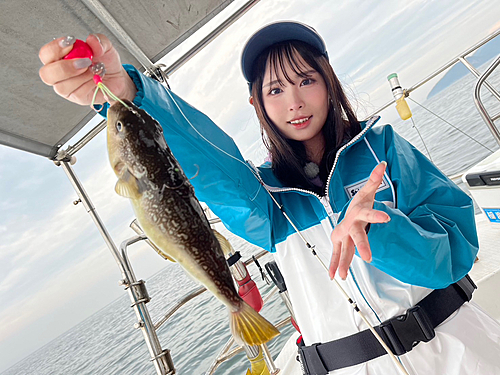 ショウサイフグの釣果