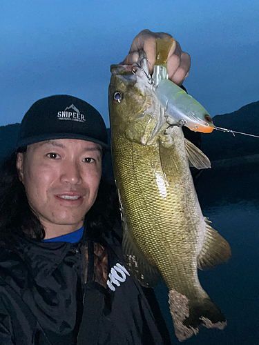 ブラックバスの釣果