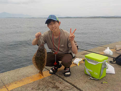 ヒラメの釣果