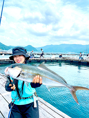 タイの釣果