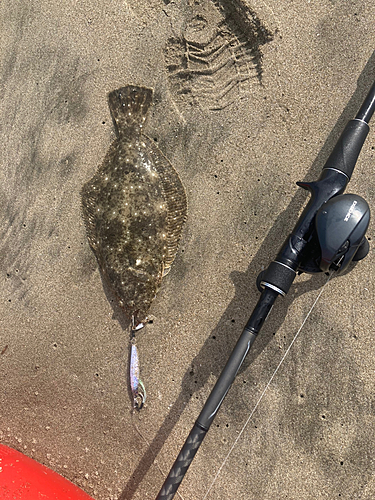 ソゲの釣果