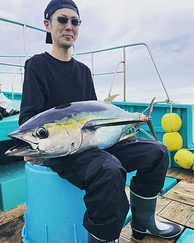 キハダマグロの釣果