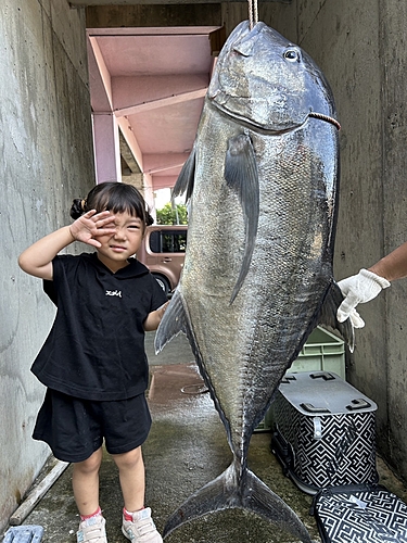 ロウニンアジの釣果