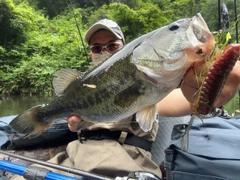 ブラックバスの釣果