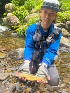 イワナの釣果