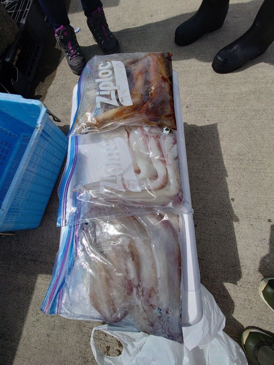 『　トシ　』さんの釣果 2枚目の画像