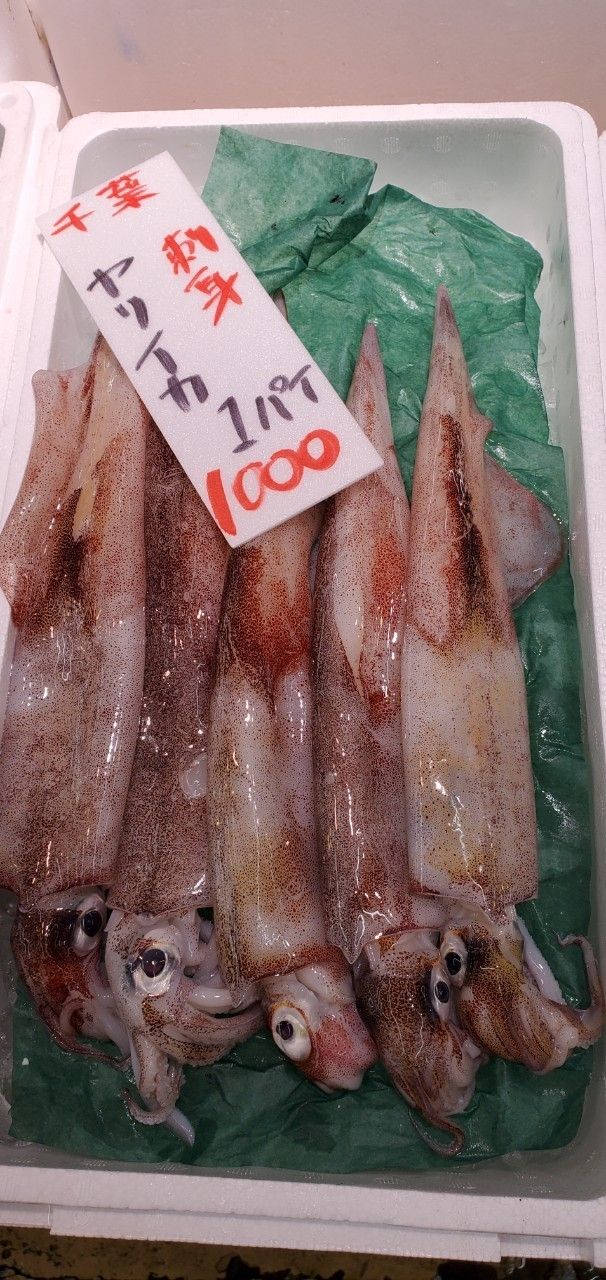 『　トシ　』さんの釣果 3枚目の画像