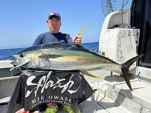 キハダマグロの釣果