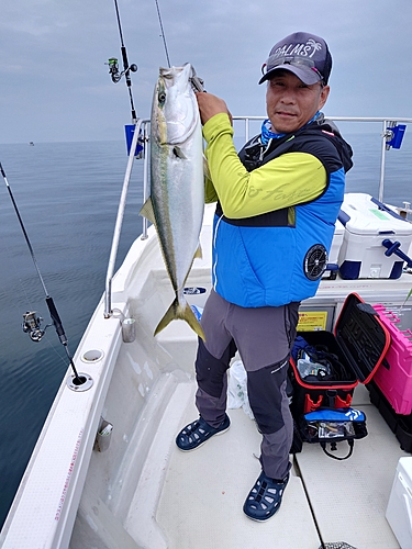 ブリの釣果