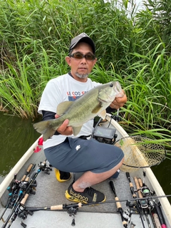 ブラックバスの釣果