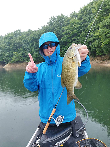 スモールマウスバスの釣果