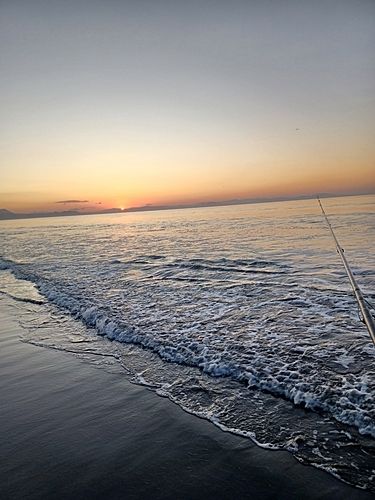 カニの釣果