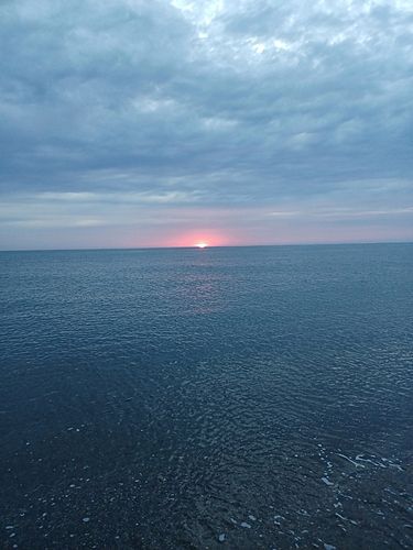 カニの釣果