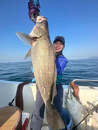 オオニベの釣果