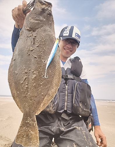 ヒラメの釣果