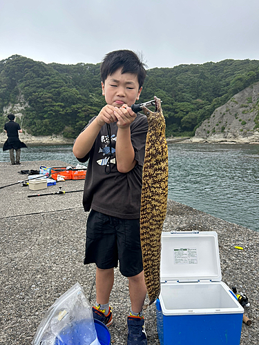 ウツボの釣果