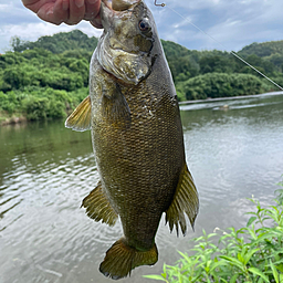 スモールマウスバス