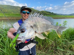 キチヌの釣果