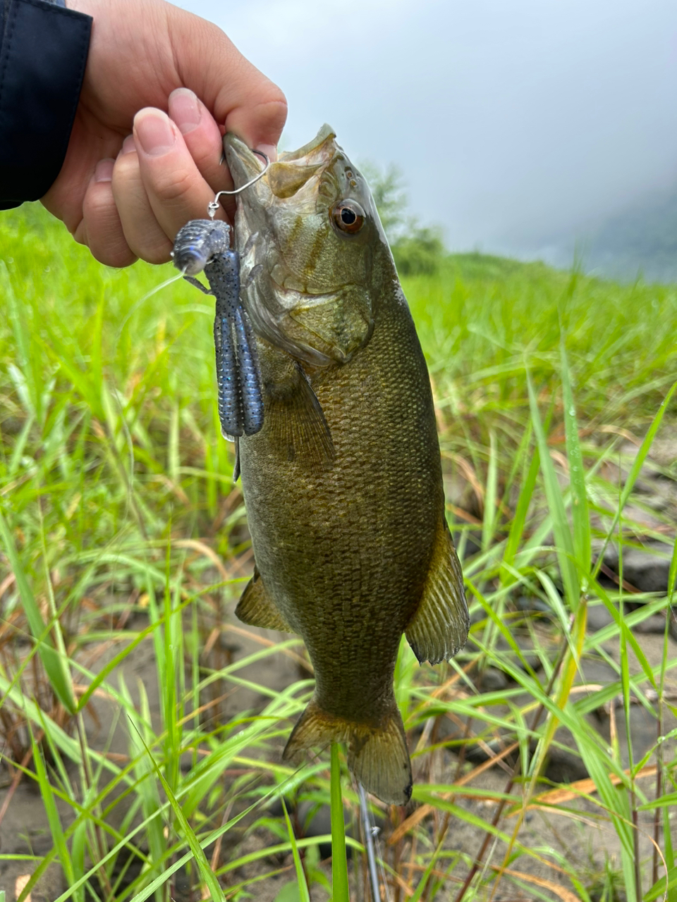 スモールマウスバス