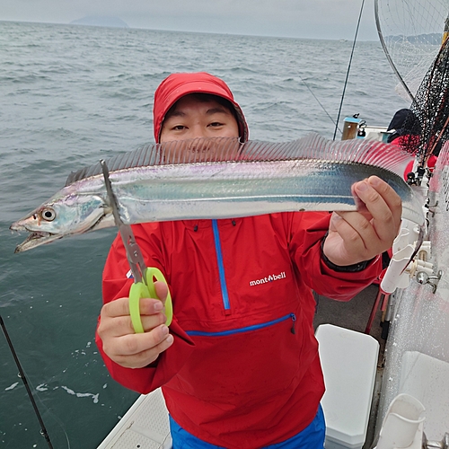 タチウオの釣果